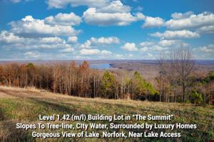 Lot 65 SWISS MOUNTAIN DRIVE