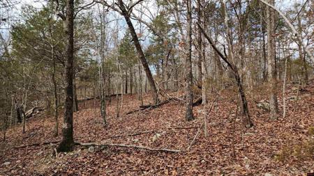 Lot 38 KINGSWAY CIRCLE