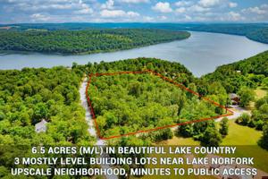 720 LAKE POINT BLUFF