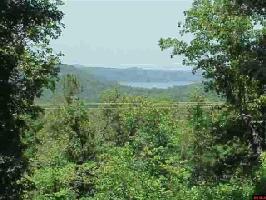 Lots 14-16 BLACK BEAR COURT