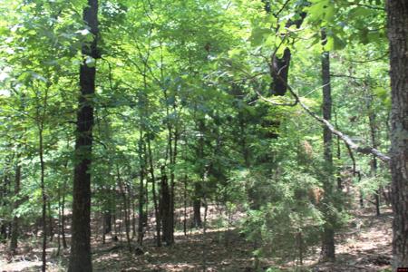 Lot 9B COUNTRY CLUB DRIVE