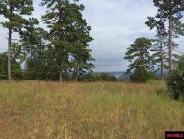 Lot 53 SWISS ALPS LANE