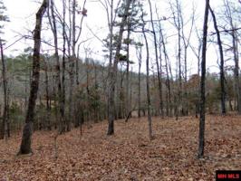 000 BLACK BEAR COURT