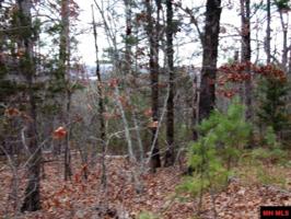 000 BLACK BEAR COURT