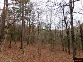 000 BLACK BEAR COURT