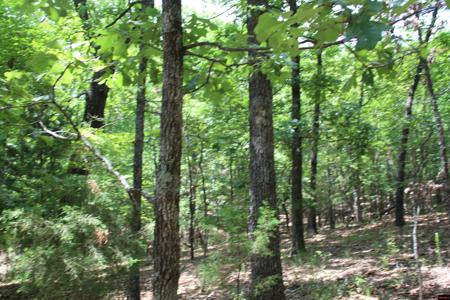 Lot 64 OAKRIDGE DRIVE