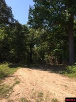 BRUSHY KNOB TRAIL
