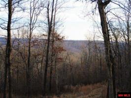 00 BRUSHY KNOB TRAIL