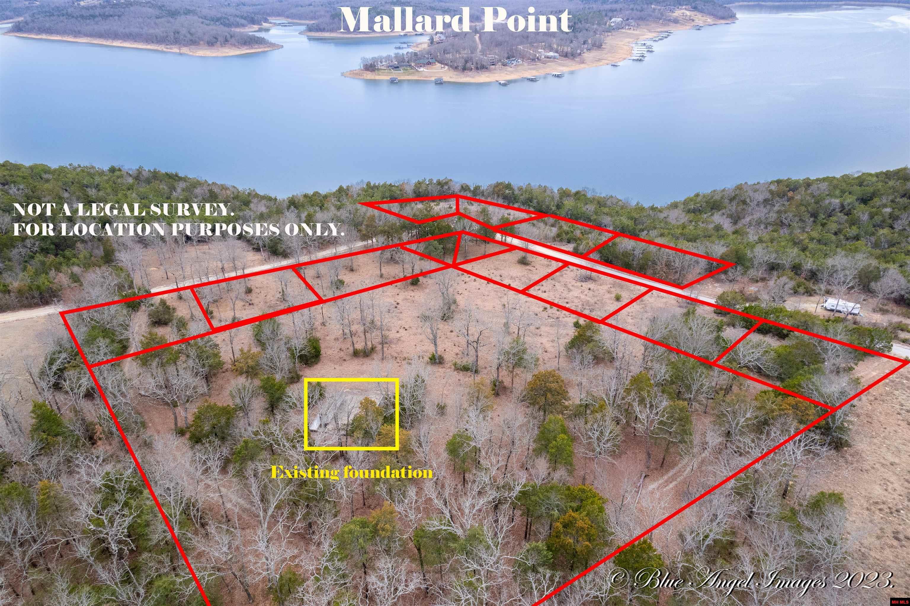 00202865000 CR 815, Gamaliel, AR lhrmls01531384