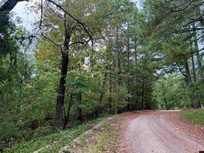 001-03300-001 CR 397