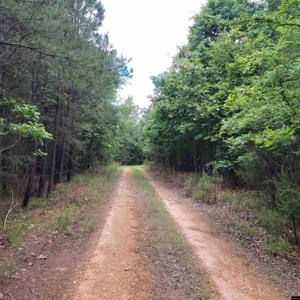 Lot 2 REYNOLDS ISLAND COVE