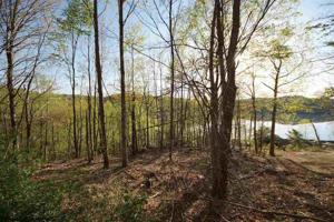 TBD Pleasant View Lane