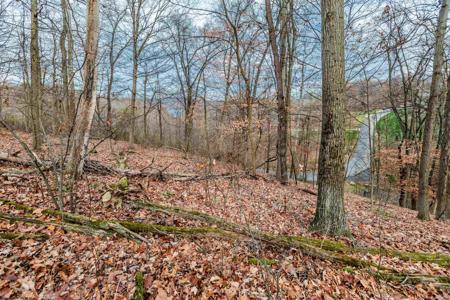 Lot 41 Falling Water Lane