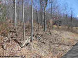 Lot 20 Mont Chateau Estates