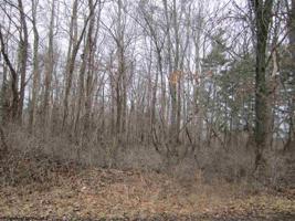 0 Lubbuck Lane