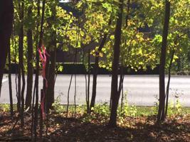 Unit B Greystone Drive