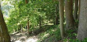Lot 5 & 6 Dock View Lane