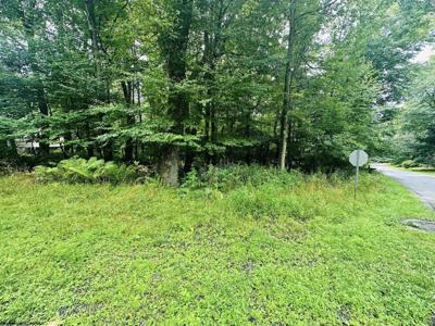 Lot 142 Dogwood