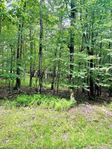 Lot 120 Hemlock