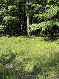 Lot 34 E Alpine