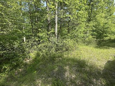Lot 65 Pine