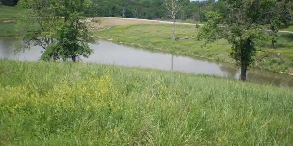 Lot 17 Wildflower Drive