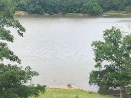 13001 Redbud Court