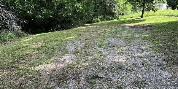 Dogwood Drive