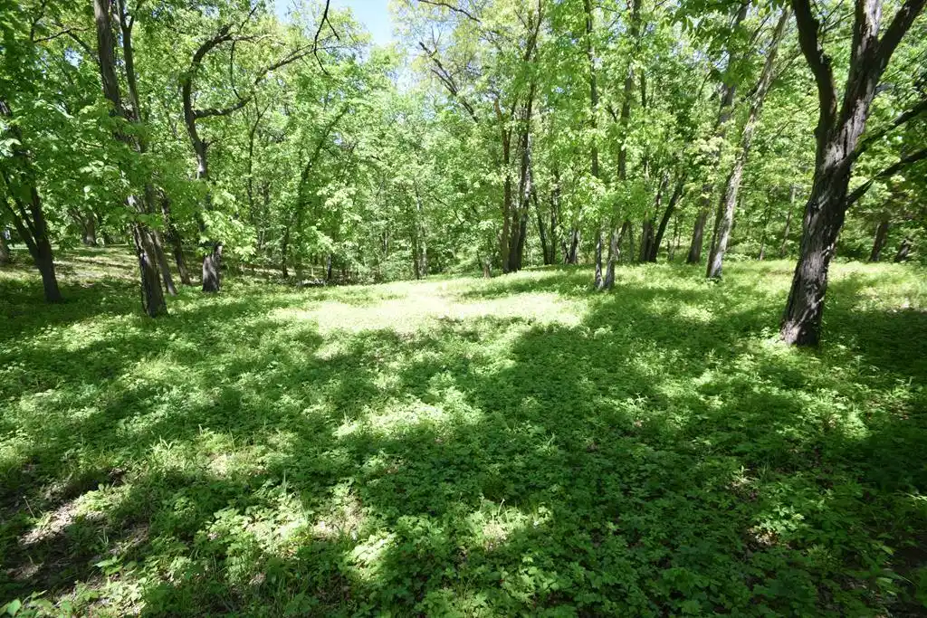 Image 1: Main View