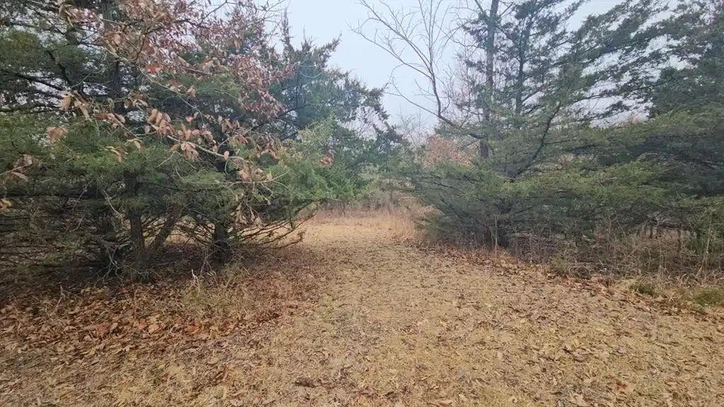 Image 1: Main View