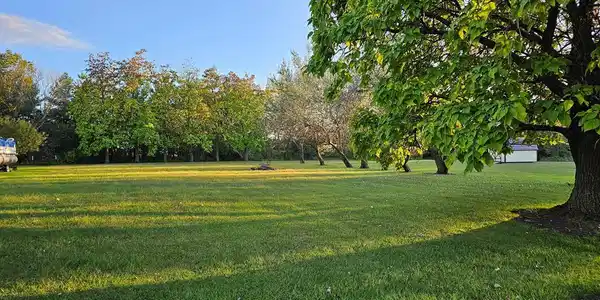 12026 Fox Glove Court