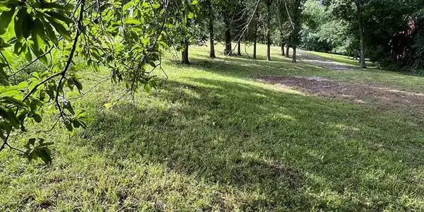 Dogwood Drive