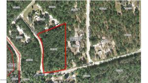 00 LIVE OAK DR