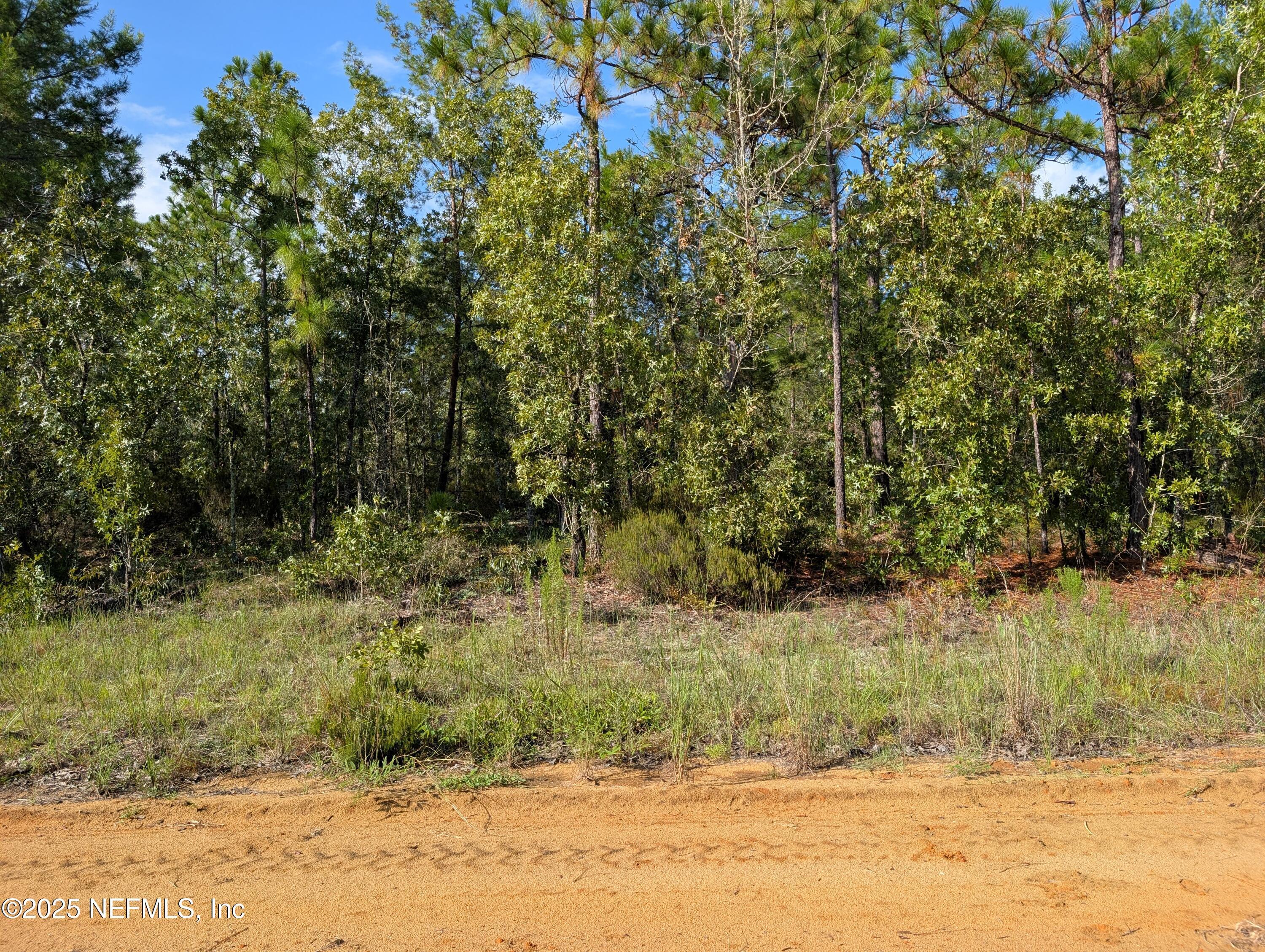 Image 1: 310 LAKE LUCY CIR