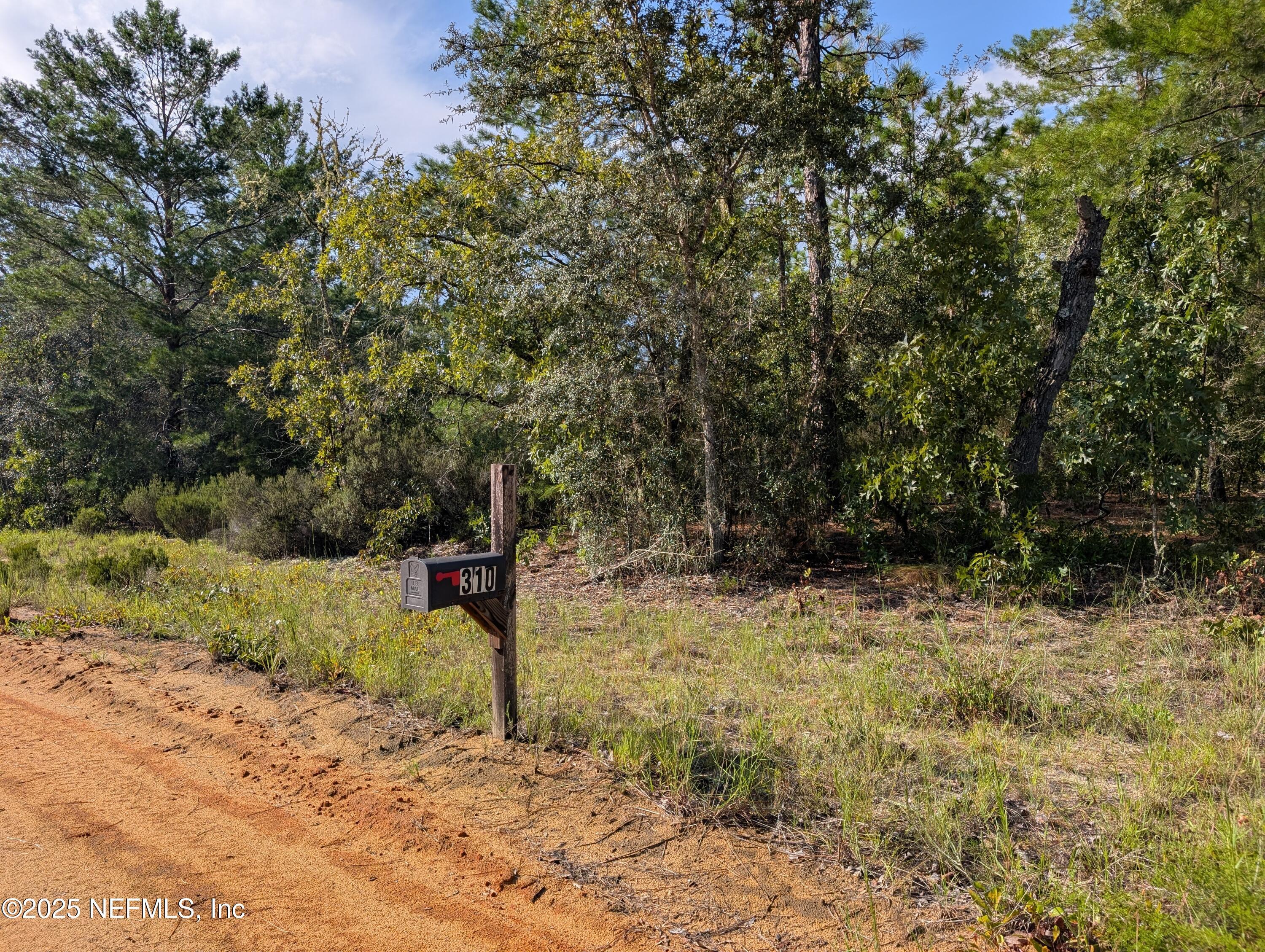Image 2: 310 LAKE LUCY CIR 4