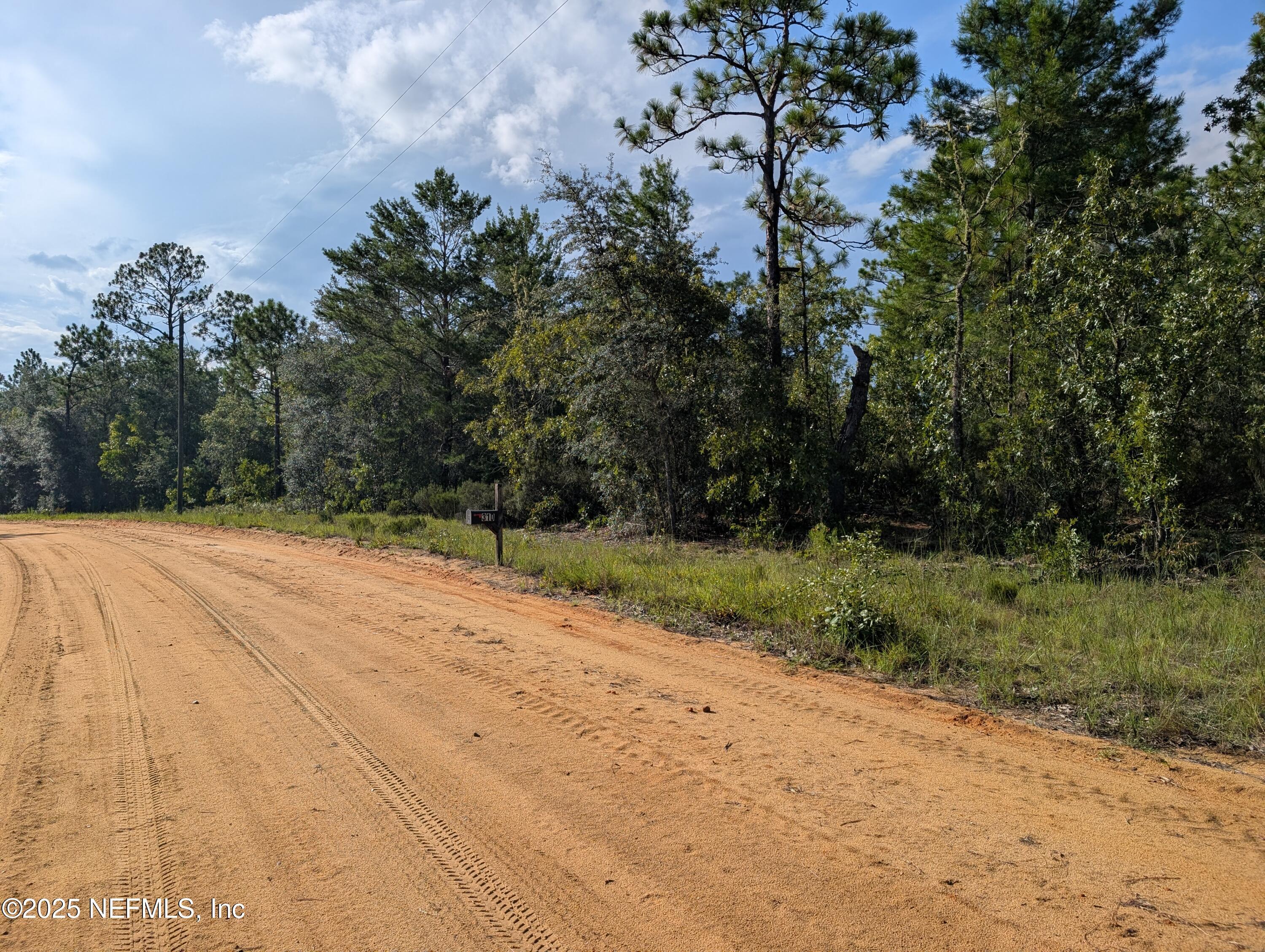 Image 4: 310 LAKE LUCY CIR