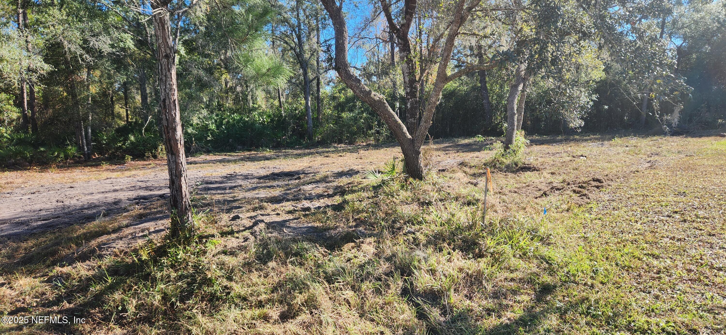 Image 1: Facing lot Looking South