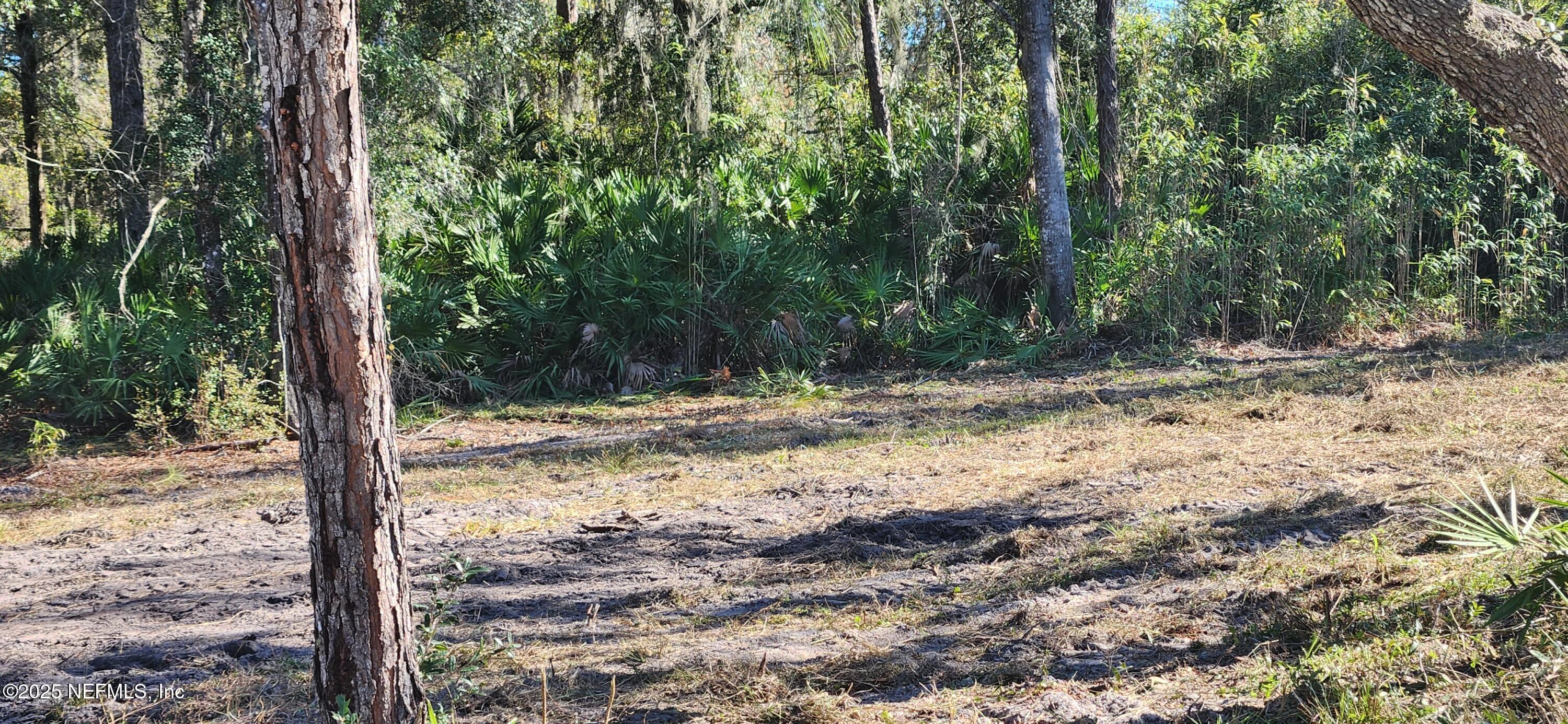 Image 3: View from the road