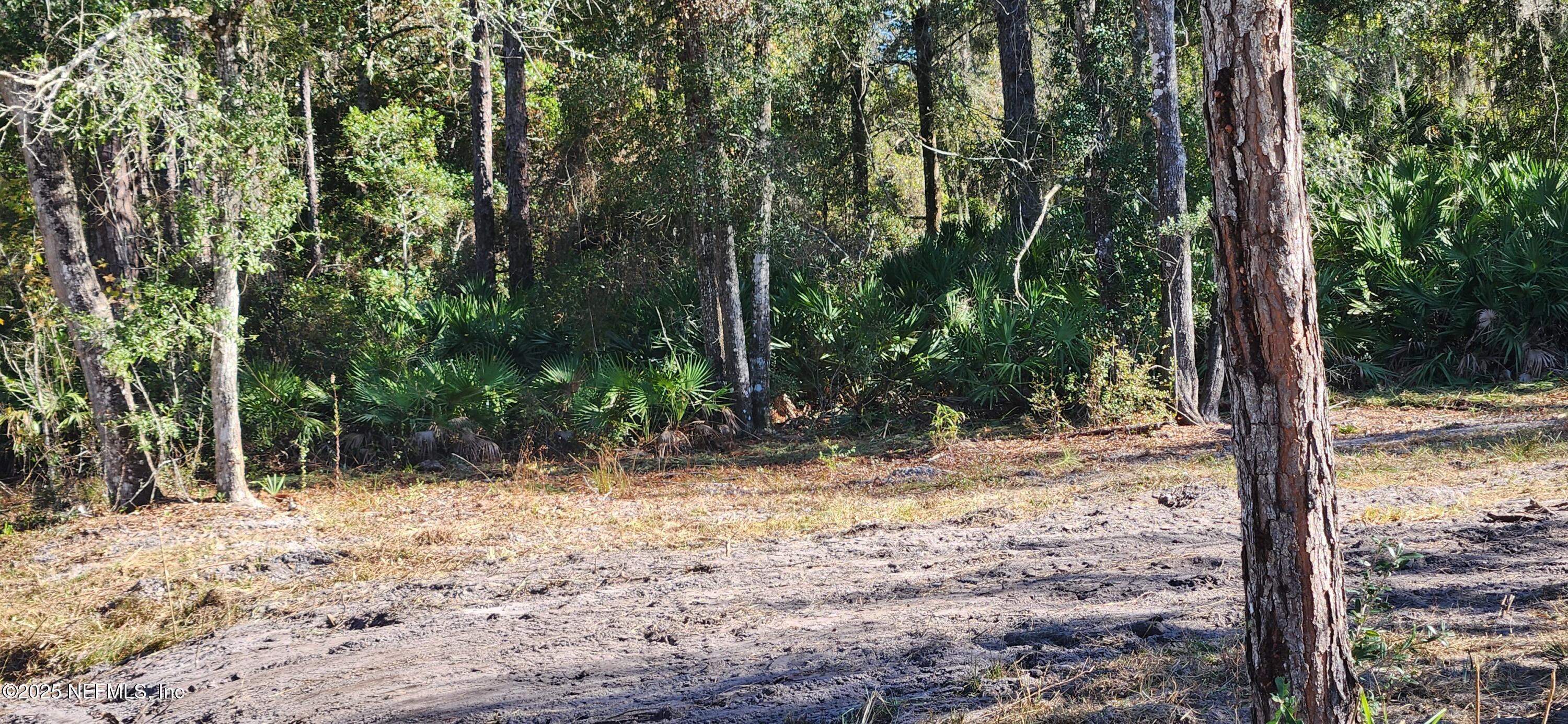 Image 4: View from the road