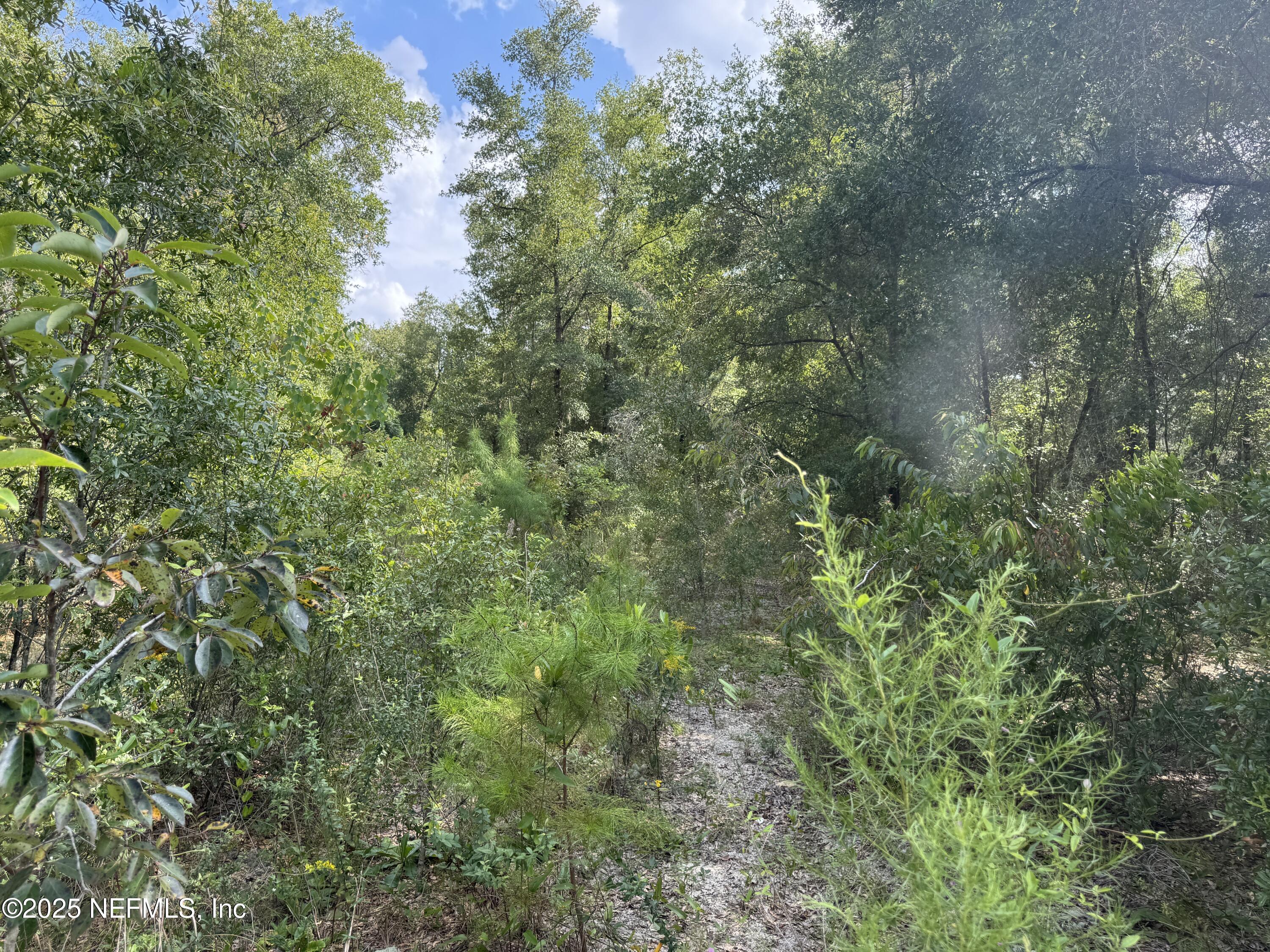 Image 4: 107 64th St, Interlachen, FL