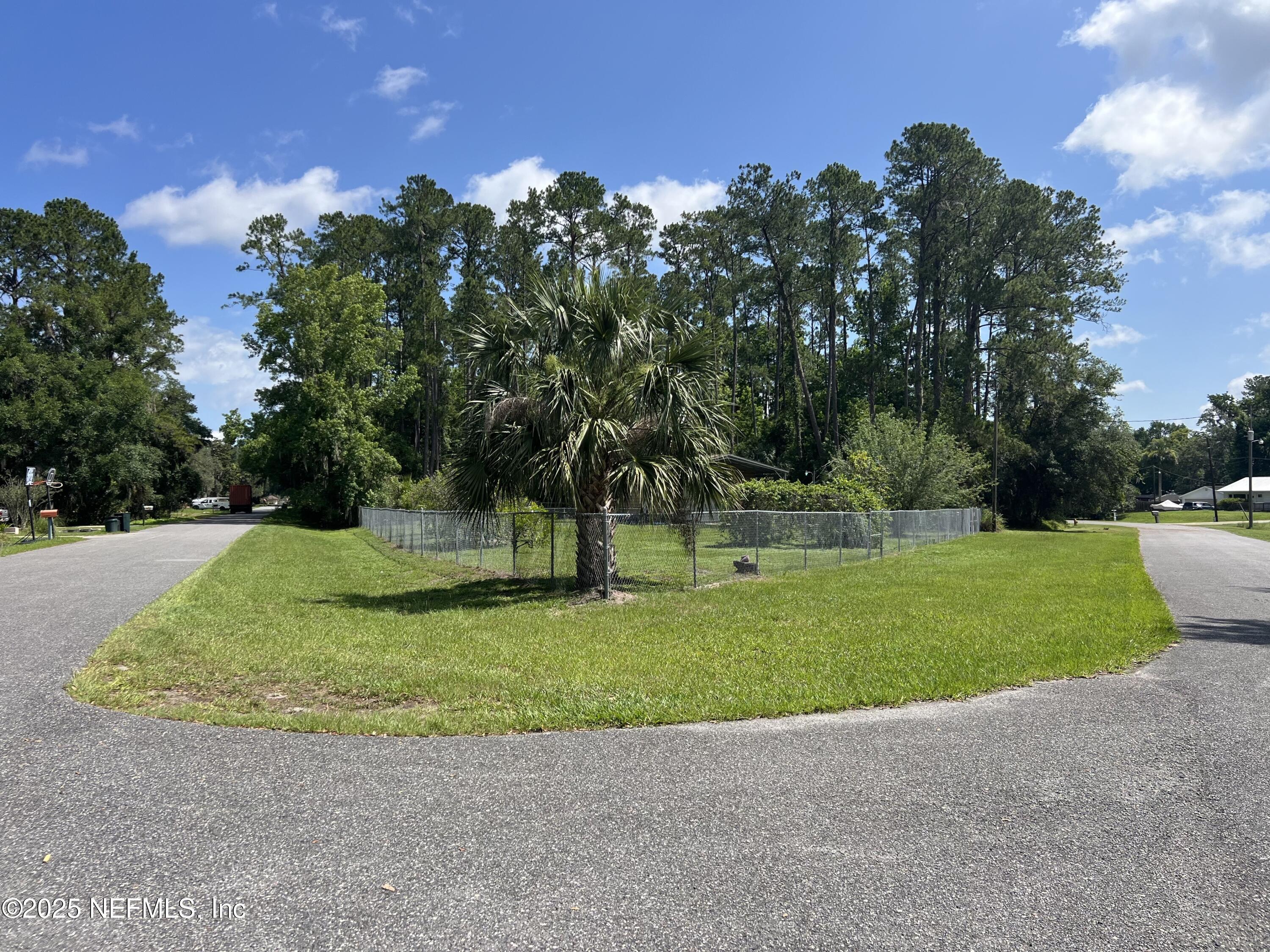 Image 2: park 2