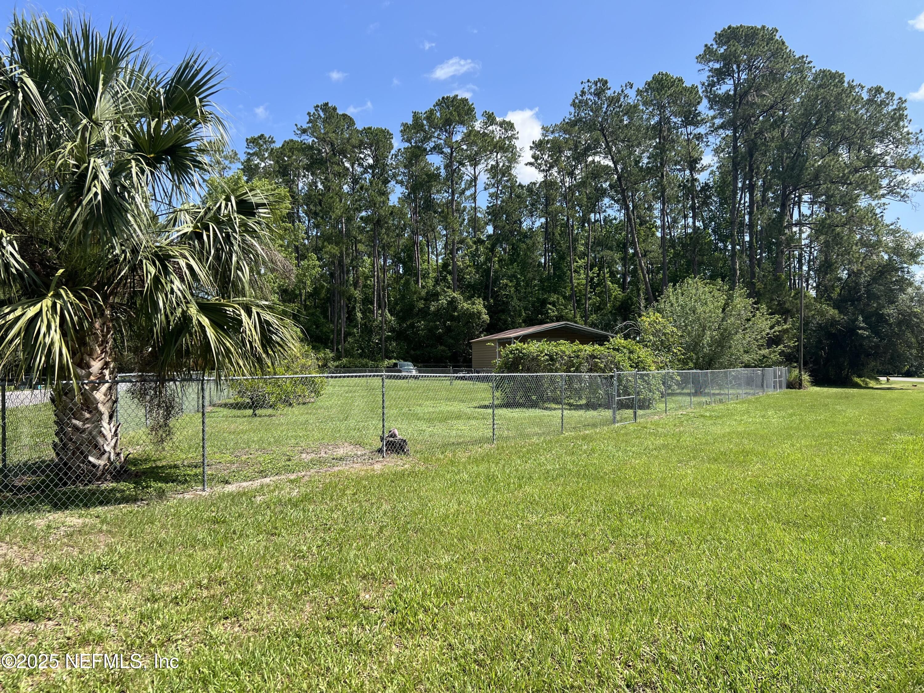 Image 3: park 3