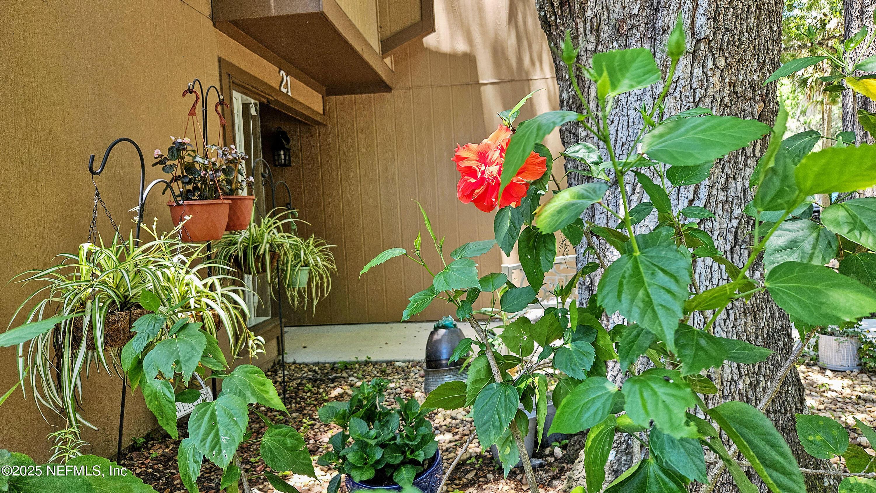 Image 2: Front of Condo / Unit 21