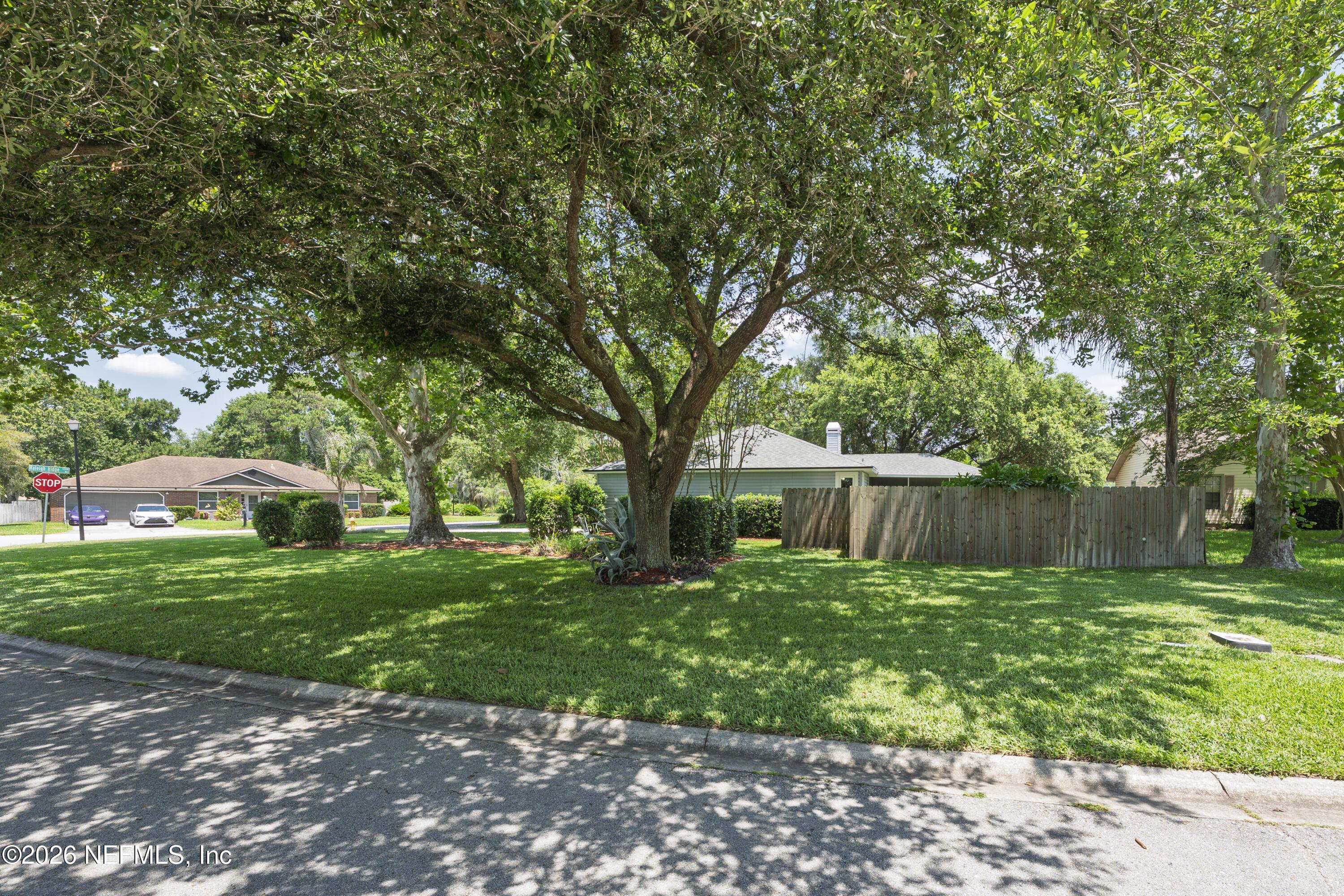 Image 3: Expansive Front Yard