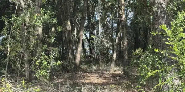 157 E COWPEN LAKE POINT Road