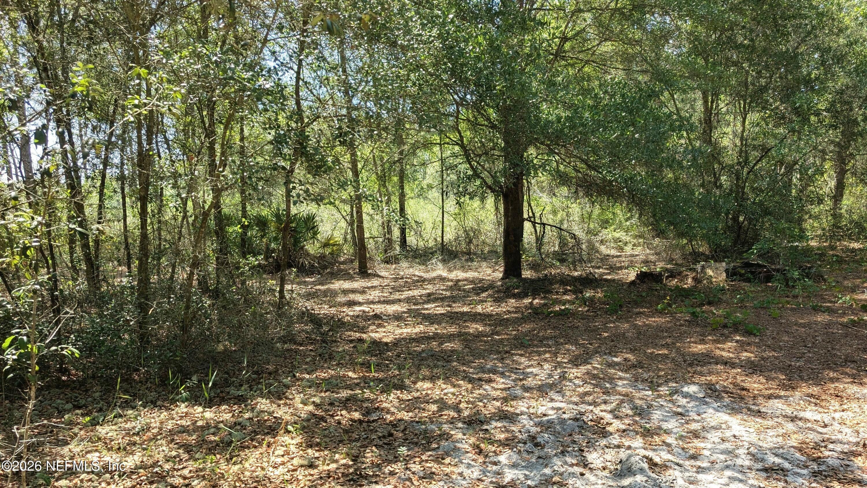 Image 1: 3