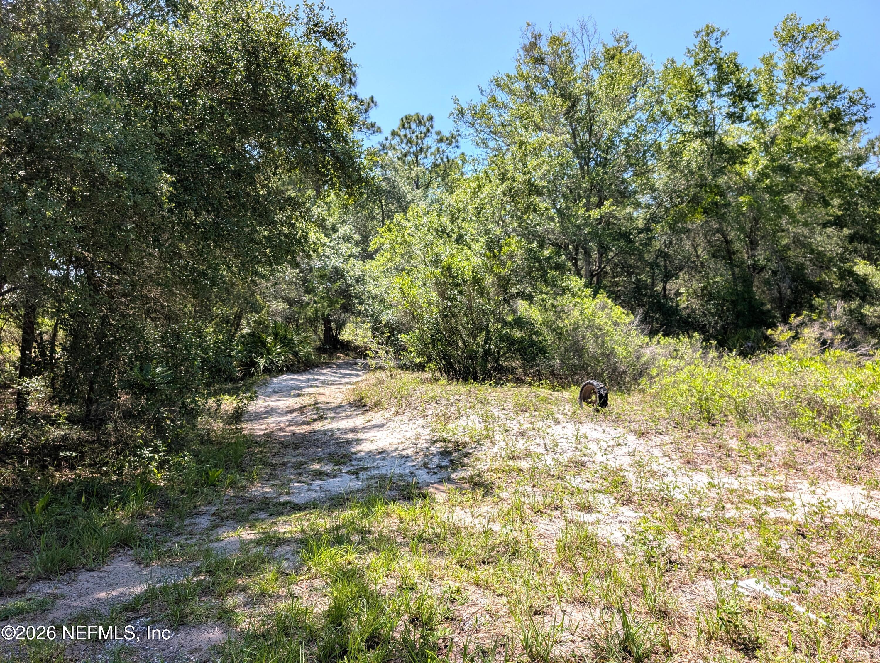 Image 3: 2