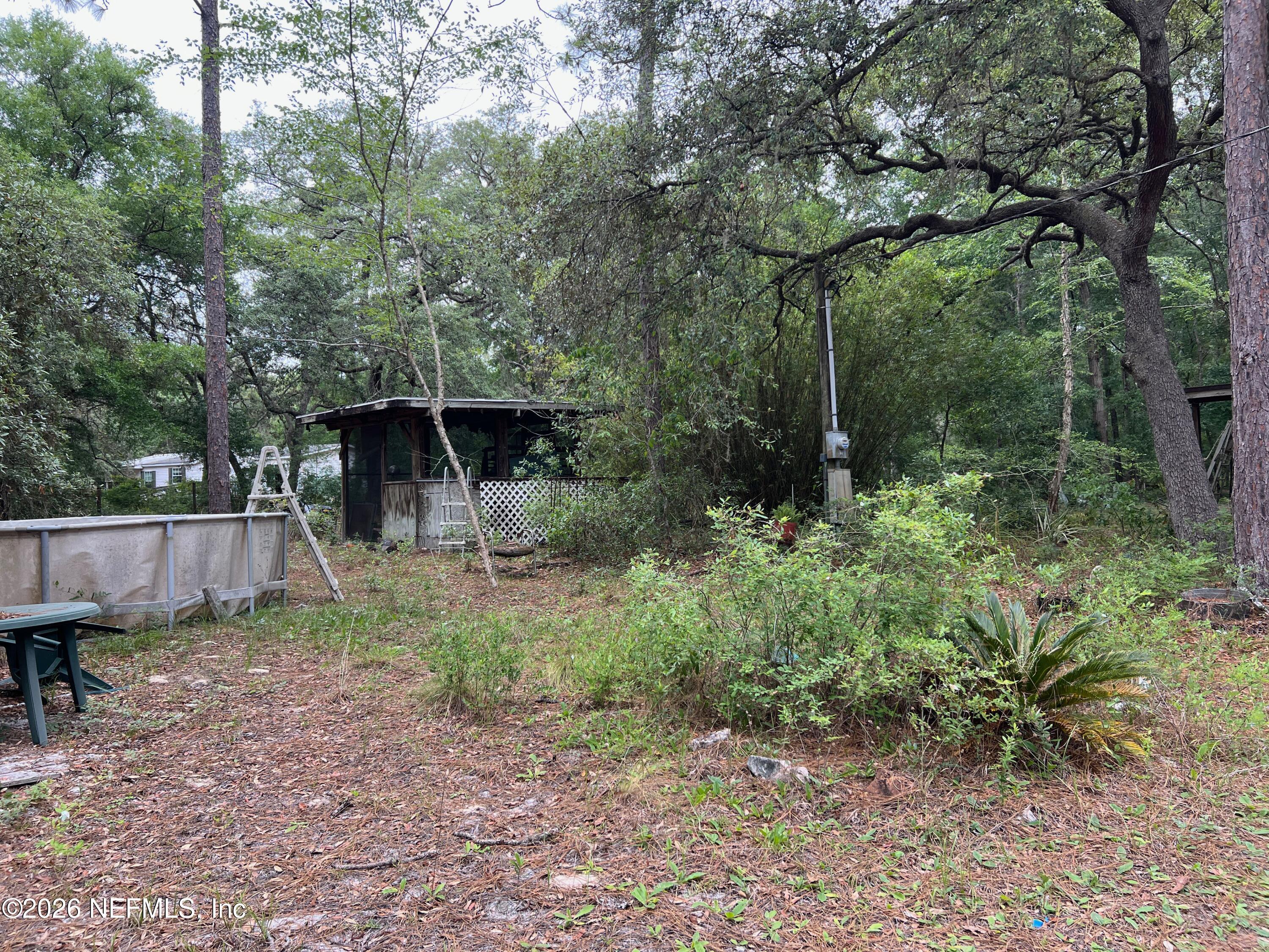 Image 4: IMG_3527