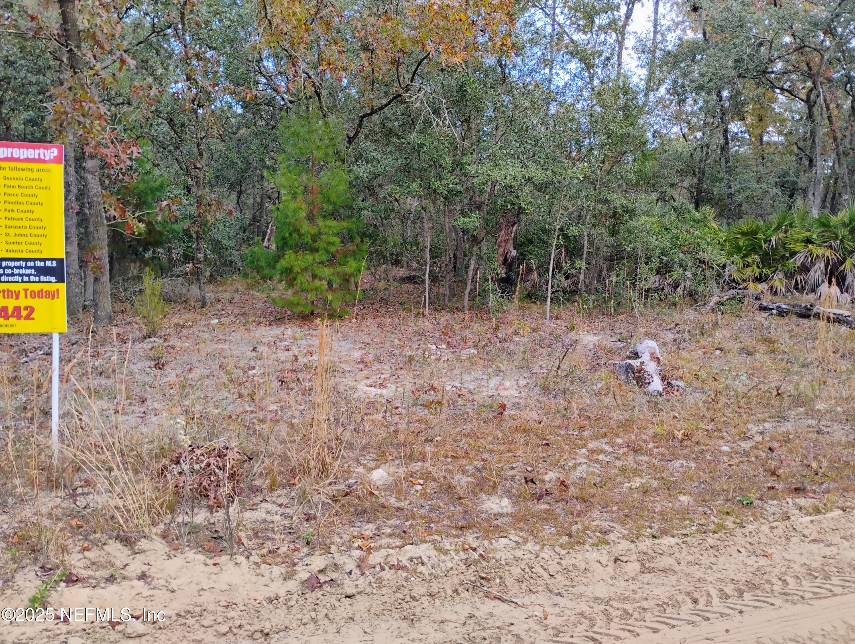 Image 2: 244 Thompson 1