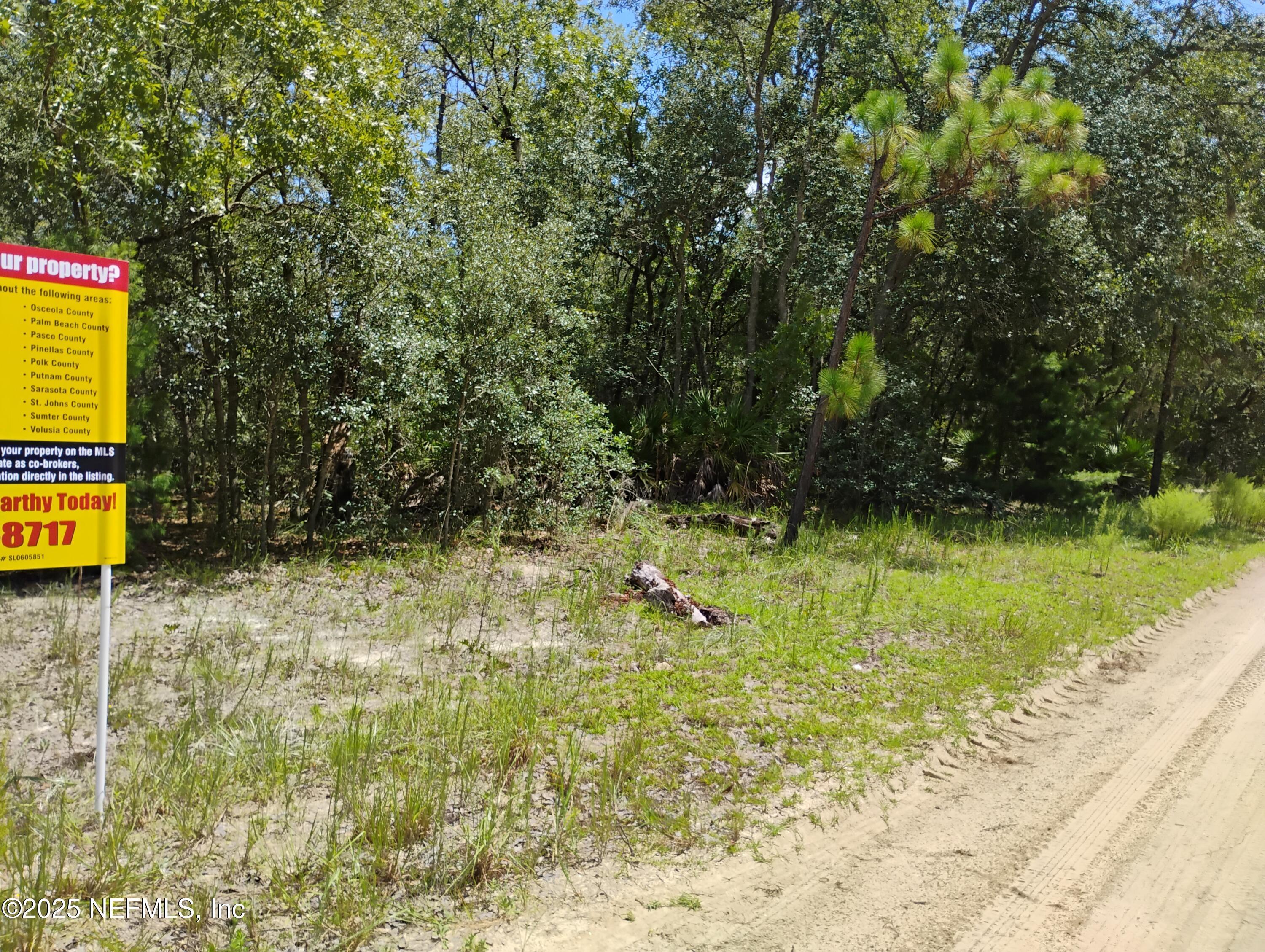 Image 4: 244 Thompson 2a